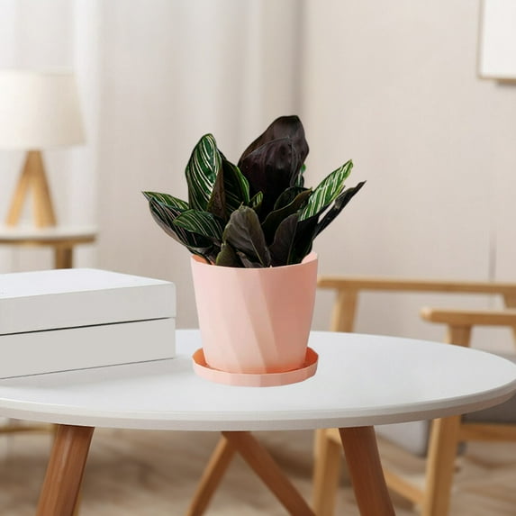 DwellJoy Scandinavian Style Resin Flower Pot with Drainage & Saucer - Thickened Durable Planters for Succulents, Herbs, Indoor Plants - Small/Medium/Large Sizes (Grey, White, Terracotta)