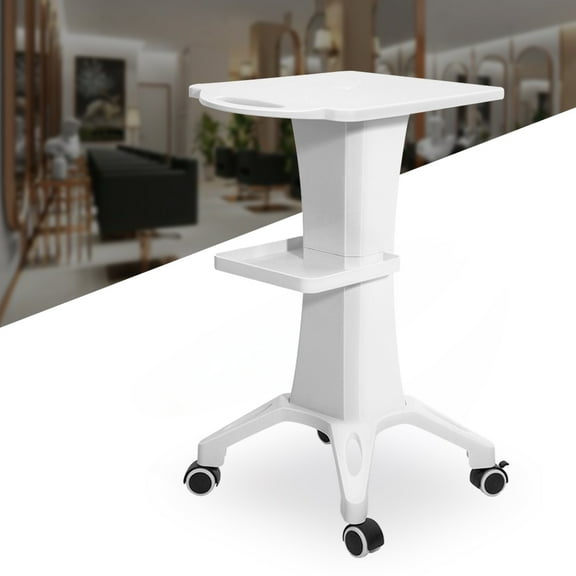 Dwellnix Durable Salon Trolley, Anti-Corrosion ABS, Storage Assistant, Smooth & Easy to Clean