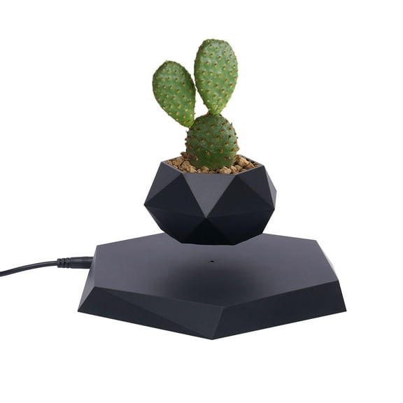 Dwellnix Smart Levitating Flower Plant Pot Home Decor Hovering Floating Magnic Plant Pot