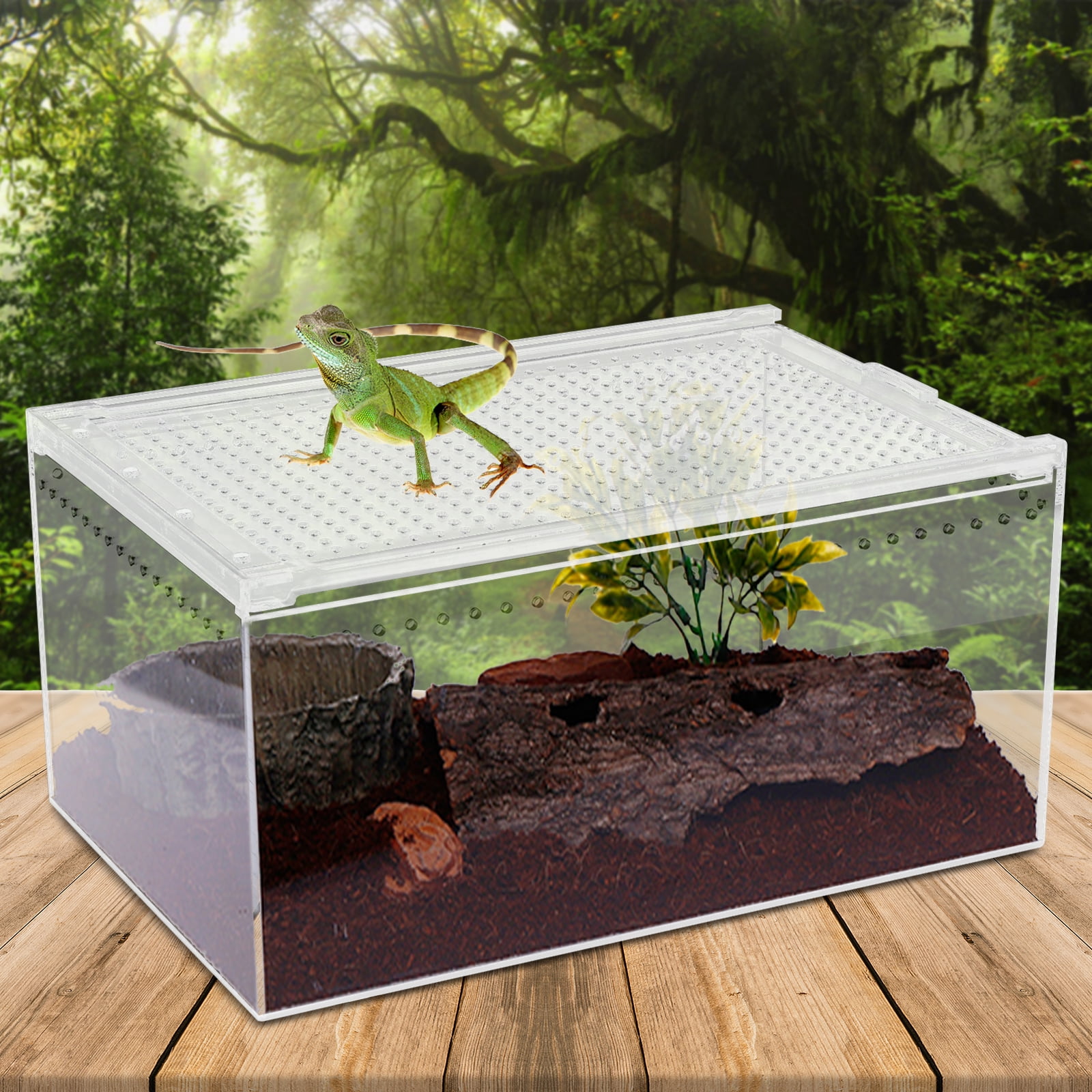Dwellnix Transparent Pet Feeding Box Large Size Acrylic Plant Pet Reptile Terrarium Tank