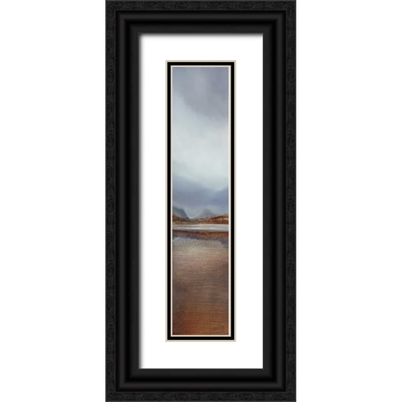 Dworok, Peter 10x32 Black Ornate Wood Framed with Double Matting Museum Art Print Titled - The Passing Storm