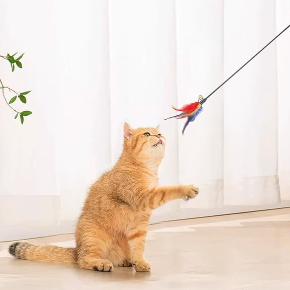 Dxssxc Interactive Cat Wand Toy with Feathers and Bells - Long Pole Teaser for Indoor Cats - Kitten Chase and Pounce Play Stick - Pet Exercise and Bonding Toy for Home Use