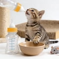 thumbnail image 1 of Dxssxc Pet Nursing Bottle Kit for Puppy Baby Animals Feeding Set with Multiple Nipples Bottle Brush, Small Pet Feeding Supplies for Kittens Puppies Squirrels, 1 of 6