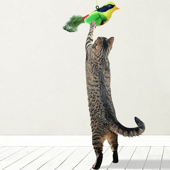 Dxssxc Realistic Bird Sounds Cat Toy Hanging Feather Teaser with Chirping, Adjustable Retractable Rope for Door Window Cat Tree Hunting Stimulation