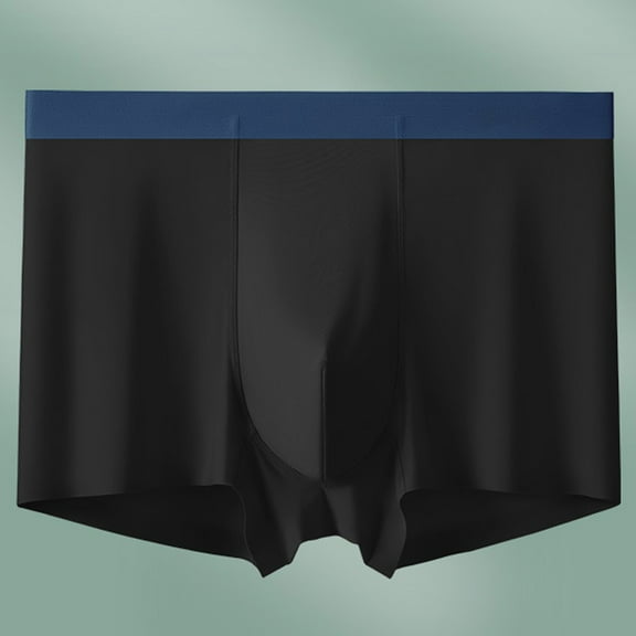 Dxzfnsa Mens Bikini Briefs Soft Breathable Bulge Pouch Underwear Micro Mesh Panties Scrunch Butt Underpants Mens Boxer Briefs,Black-L