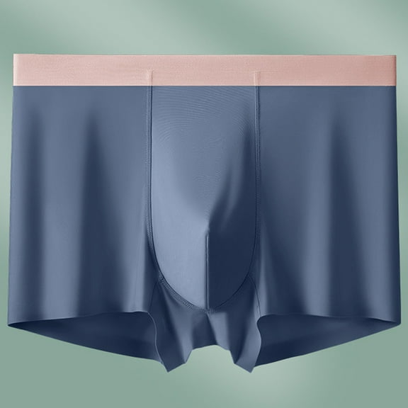 Dxzfnsa Mens Bikini Briefs Soft Breathable Bulge Pouch Underwear Micro Mesh Panties Scrunch Butt Underpants Mens Underwear Briefs,Blue-3XL