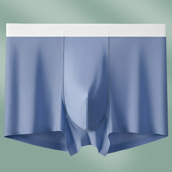 Dxzfnsa Mens Bikini Briefs Soft Breathable Bulge Pouch Underwear Micro Mesh Panties Scrunch Butt Underpants Mens Underwear,Light Blue-L