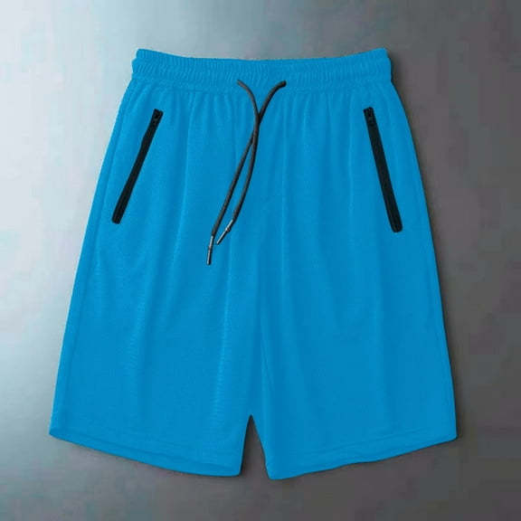 Dxzfnsa Women's Ice Silk Shorts Lightweight Quick Dry Shorts Womens Casual Solid Color with Zipper Pockets