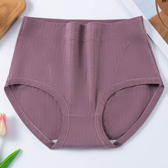 Dxzfnsa Women's Seamless Underwear High Waisted Tummy Control No Show Panties Full Coverage Stretch Briefs no show underwear for women