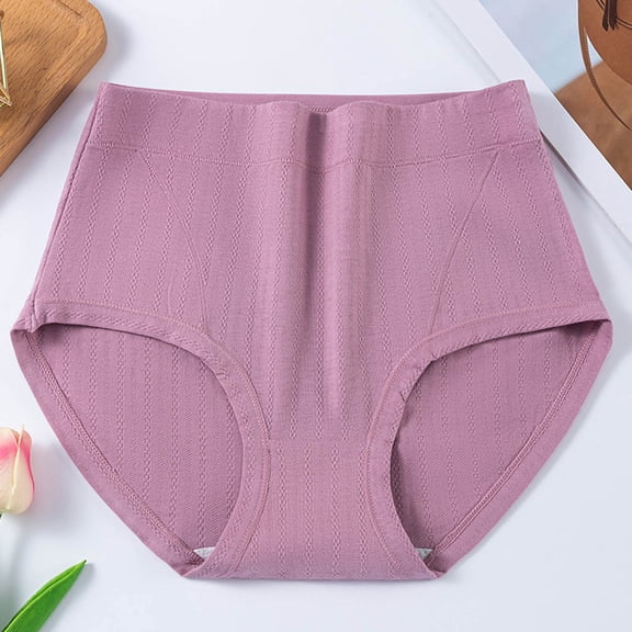 Dxzfnsa Women's Seamless Underwear High Waisted Tummy Control No Show Panties Full Coverage Stretch Briefs panties for women