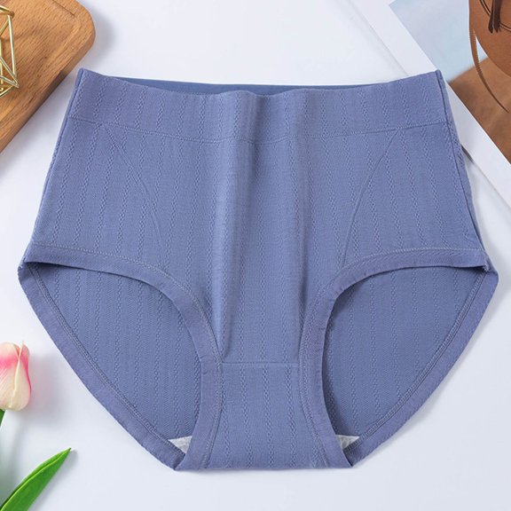 Dxzfnsa Women's Seamless Underwear High Waisted Tummy Control No Show Panties Full Coverage Stretch Briefs panties for women