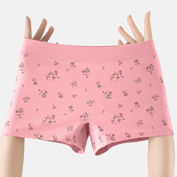 Dxzfnsa Women’s Seamless Underwear Soft Stretch Briefs Invisibles Hipster V Cut cheeky No Show Bikini Panties panties for women