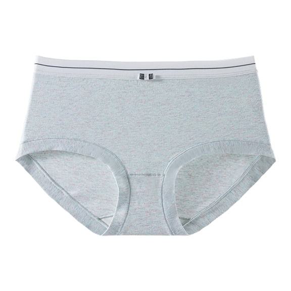 Dxzfnsa Women’s Underwear Seamless Bikini Panties Low Rise Cheeky Underwear Stretch Hipster Brief for Ladies seamless underwear for women