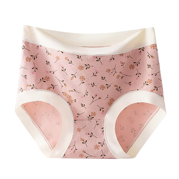 Dxzfnsa Womens Underwear Seamless High Waisted Briefs Silky Stretch No Show Breathable Full Coverage Ladies Panties Seamless Underwear for Women M-3XL