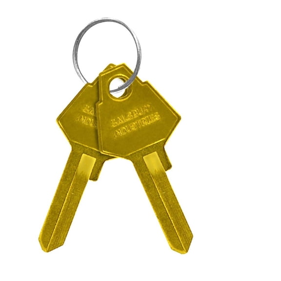 DyGTyX Aluminum Mailboxes Key Blank, Pins 5, PK50, Brass (2299)