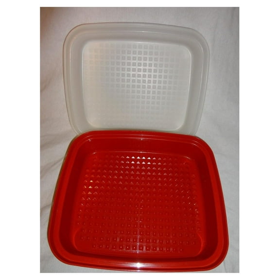 DyGTyX RED Large Season Serve Meat Marinade Storage Container