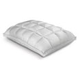 DyGTyX SoftCell Lite Pillow, Plush Down Alternative Fill, Queen