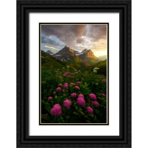 Dyar, Ryan 11x14 Black Ornate Wood Framed with Double Matting Museum Art Print Titled - As It Fades