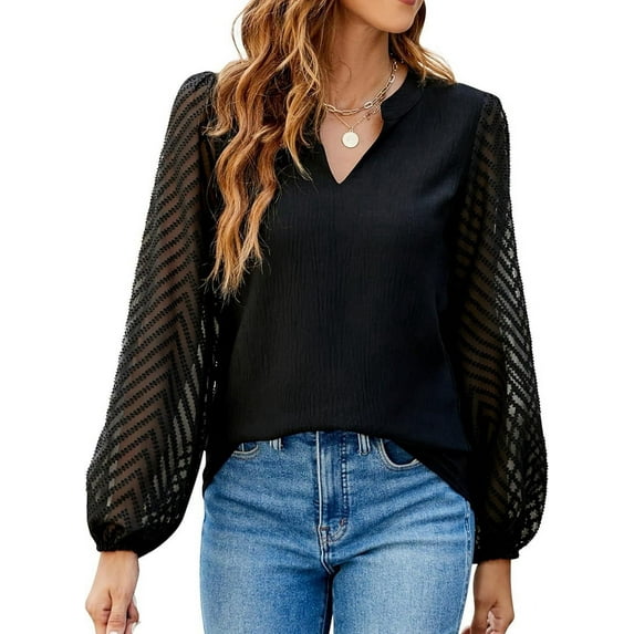 Dycnvjo Womens Tops Dressy Casual Sheer Long Sleeve V Neck Shirts Loose Flowy Chiffon Business Work Blouses