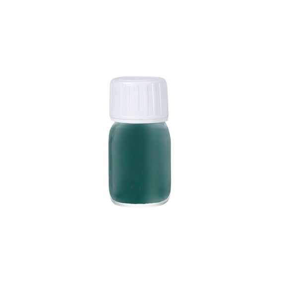 Dye with Primer for Natural and Synthetic Leather Shoes, Kaps Super Color and Preparer, 70 Colors (133 - Dark Green)