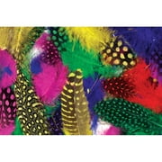 MIDWEST DESIGN IMPORTS Dyed Guinea Feathers 7g-Assorted Colors