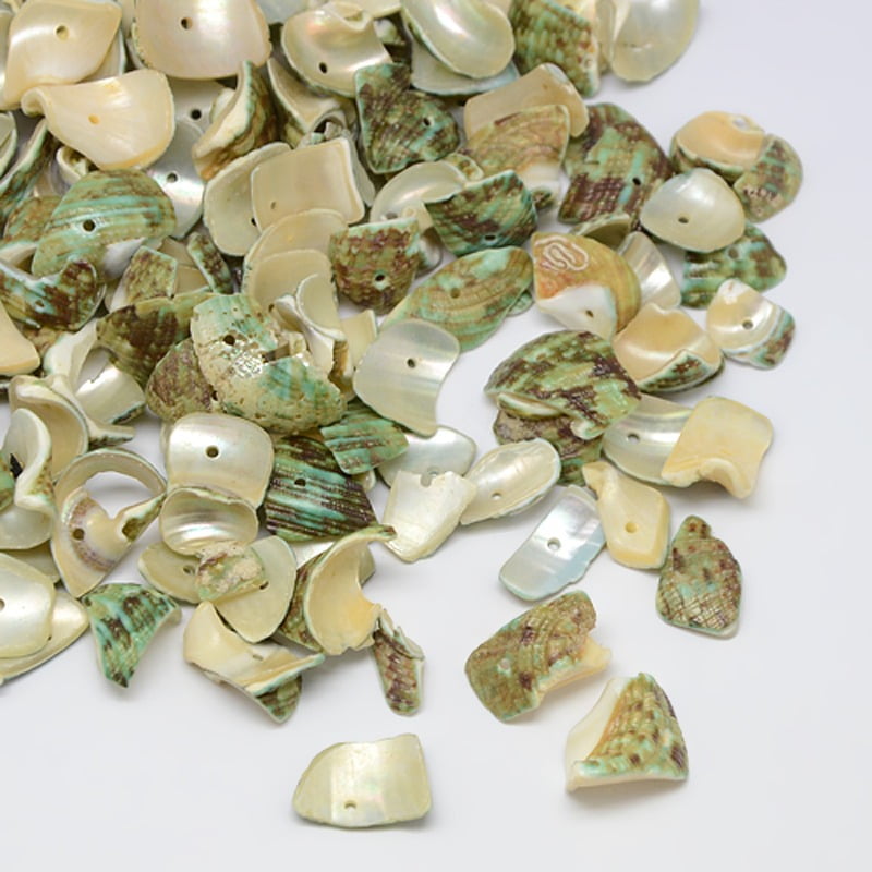 Chip Chip Shell Dyed Natural Spiral Shell Chips Beads Shell Shards Pale Goldenrod 10 ...