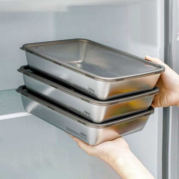 Dyegold 316L Stainless Steel Dumpling Box with Lid Freezer Tray Food Grade Rectangular Storage Container for Meal Prep 10 in