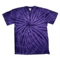 thumbnail image 1 of Dyenomite Unisex Short sleeve Vat-Dyed Cyclone T-shirt, 1 of 3