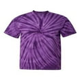 thumbnail image 1 of Dyenomite Unisex Short sleeve Vat-Dyed Cyclone T-shirt, 1 of 3