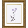 thumbnail image 1 of Dyer, Beverly 12x14 Gold Ornate Wood Framed with Double Matting Museum Art Print Titled - Lavender Wildflowers II, 1 of 4