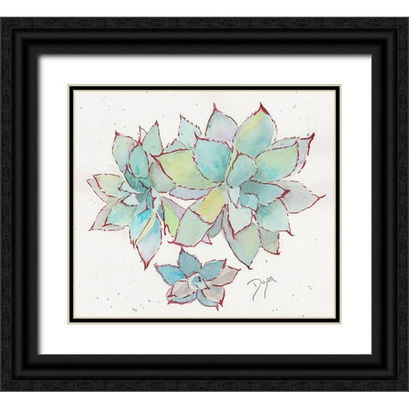 Dyer, Beverly 13x12 Black Ornate Wood Framed with Double Matting Museum Art Print Titled - Succulent ll