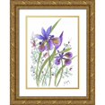 thumbnail image 1 of Dyer, Beverly 14x18 Gold Ornate Wood Framed with Double Matting Museum Art Print Titled - Slender Blue Flag, 1 of 4