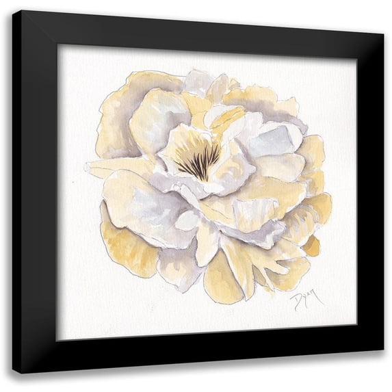 Dyer, Beverly 15x15 Black Modern Framed Museum Art Print Titled - Backyard Peony I