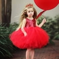 thumbnail image 1 of Dyfzdhu Girls Dress Baby Girl Mesh Tulle Birthday Dresses Tutu Sleeveless Pageant Party Dress Toddler Girl Wedding Clothes, 1 of 5