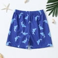 thumbnail image 1 of Dyfzdhu Toddler Kids Baby Boys Cartoon Swim Trunks Swimsuit Bathing Suit Beach Swimming Shorts 1-6Y, 1 of 7