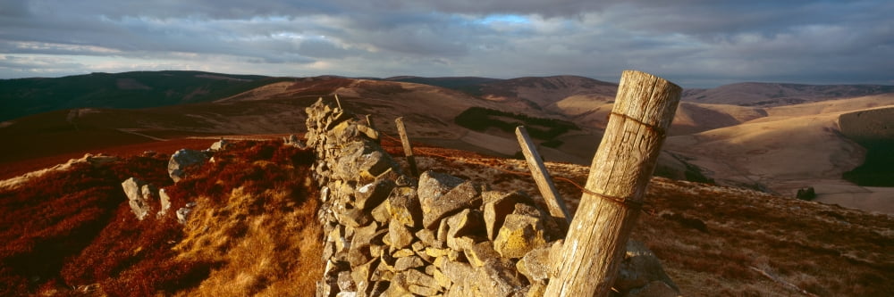 Dyke Wall Lee Penn Scottish Borders Scotland Canvas Art - Panoramic Images (27 x 9)