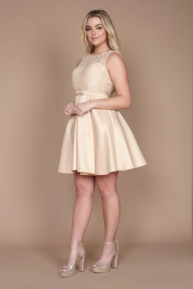 dylan davids midi lace formal black cocktail dress reviews Short Black Cocktail Dress – The Dress Outlet main image 0