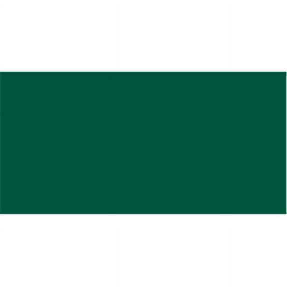 Dylon Permanent Fabric Dye 1.75oz-Dark Green