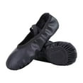 thumbnail image 1 of Dynadans Unisex Soft Leather Ballet Shoes with Elastic Straps for Toddler/Little Kid/Big Kid/Adult, 1 of 8