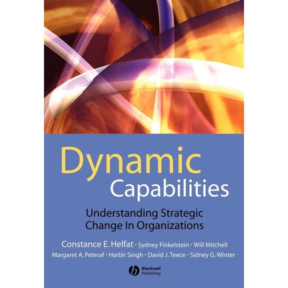 Dynamic Capabilities (Paperback)