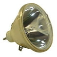 thumbnail image 1 of Dynamic Lamps 50412-BOP Canon LV-LP04 Philips Projector Bare Lamp, 1 of 1