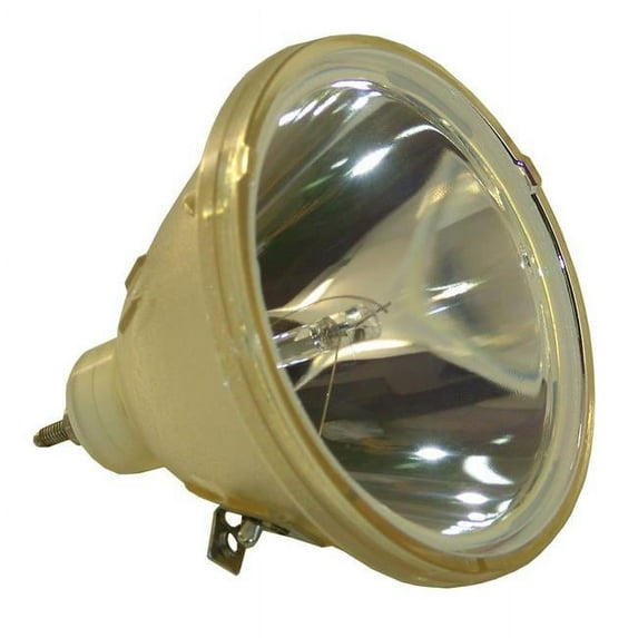 Dynamic Lamps 50412-BOP Canon LV-LP04 Philips Projector Bare Lamp