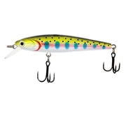 Dynamic Lures J-Spec Jerkbait - 3" RB Trout V2