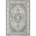 thumbnail image 1 of Dynamic Rugs AN28572049666 2 ft. 2 in. x 7 ft. 7 in. Ancient Garden 57204 Rectangle Traditional Area Rug - 9666 Soft Grey & Cream, 1 of 5