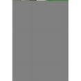 thumbnail image 1 of Dynamic Rugs SW699881170 5 ft. 3 in. x 7 ft. 3 in. Silvia 9881 Area Rug, 170 Ivory Gold, 1 of 1