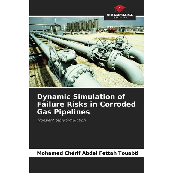 Dynamic Simulation of Failure Risks in Corroded Gas Pipelines, (Paperback)