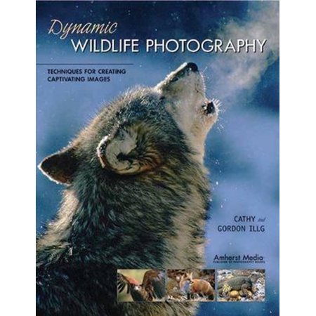 Pre-Owned Dynamic Wildlife Photography: Techniques for Creating Captivating Images (Paperback) 1584281308 9781584281306
