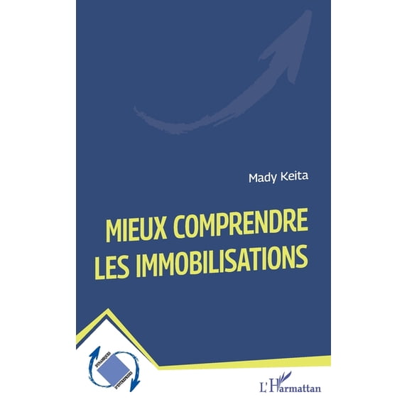 Dynamiques D'Entreprises Mieux comprendre les immobilisations, (Paperback)