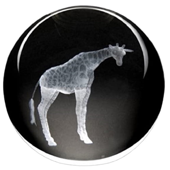 Dynasty Gallery 51406GF Crystal Paperweight Giraffe 3 Inch Diameter