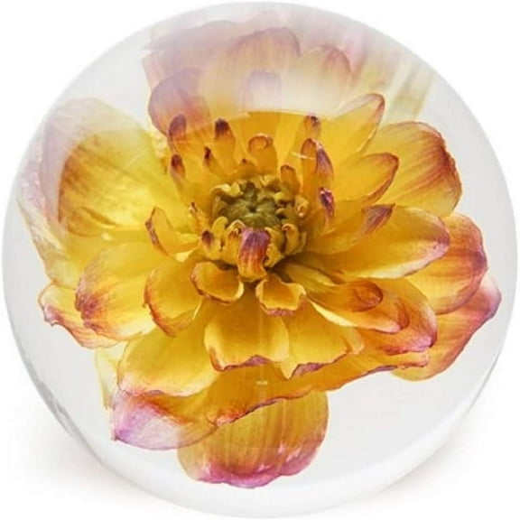 Dynasty Gallery FloraCulture Paperweight Yellow Dahlia